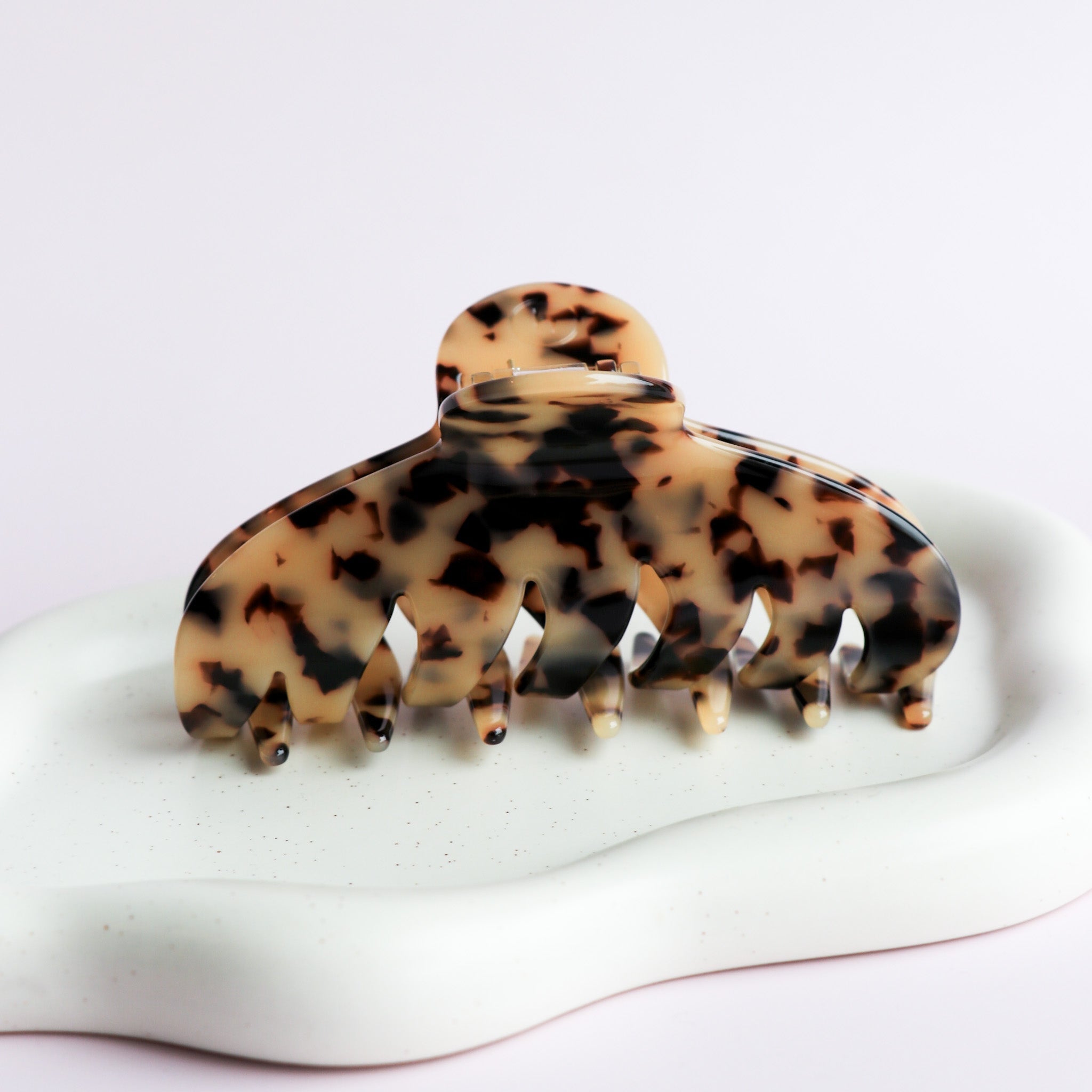 La Agatha - Tortoise